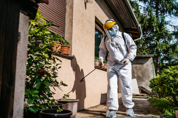 Best Mosquito Control Services  in Portland, MI