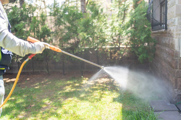 Reliable Portland, MI Pest Control Solutions