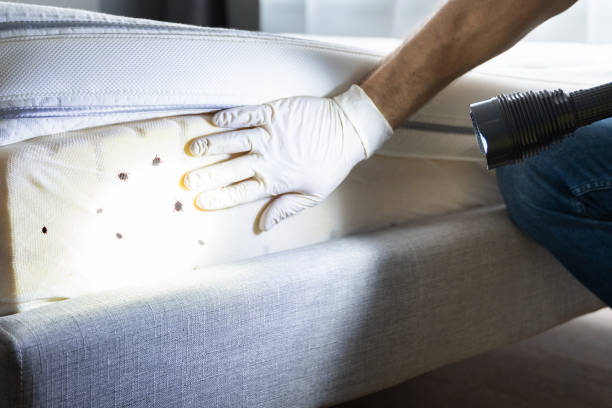 Best Pest Prevention Services  in Portland, MI