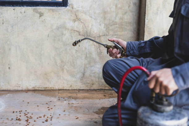 Best Affordable Pest Control Services  in Portland, MI